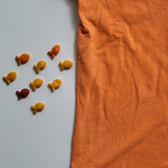 Mini Boden orange Tee 9-10 Years - Picture 9 of 11